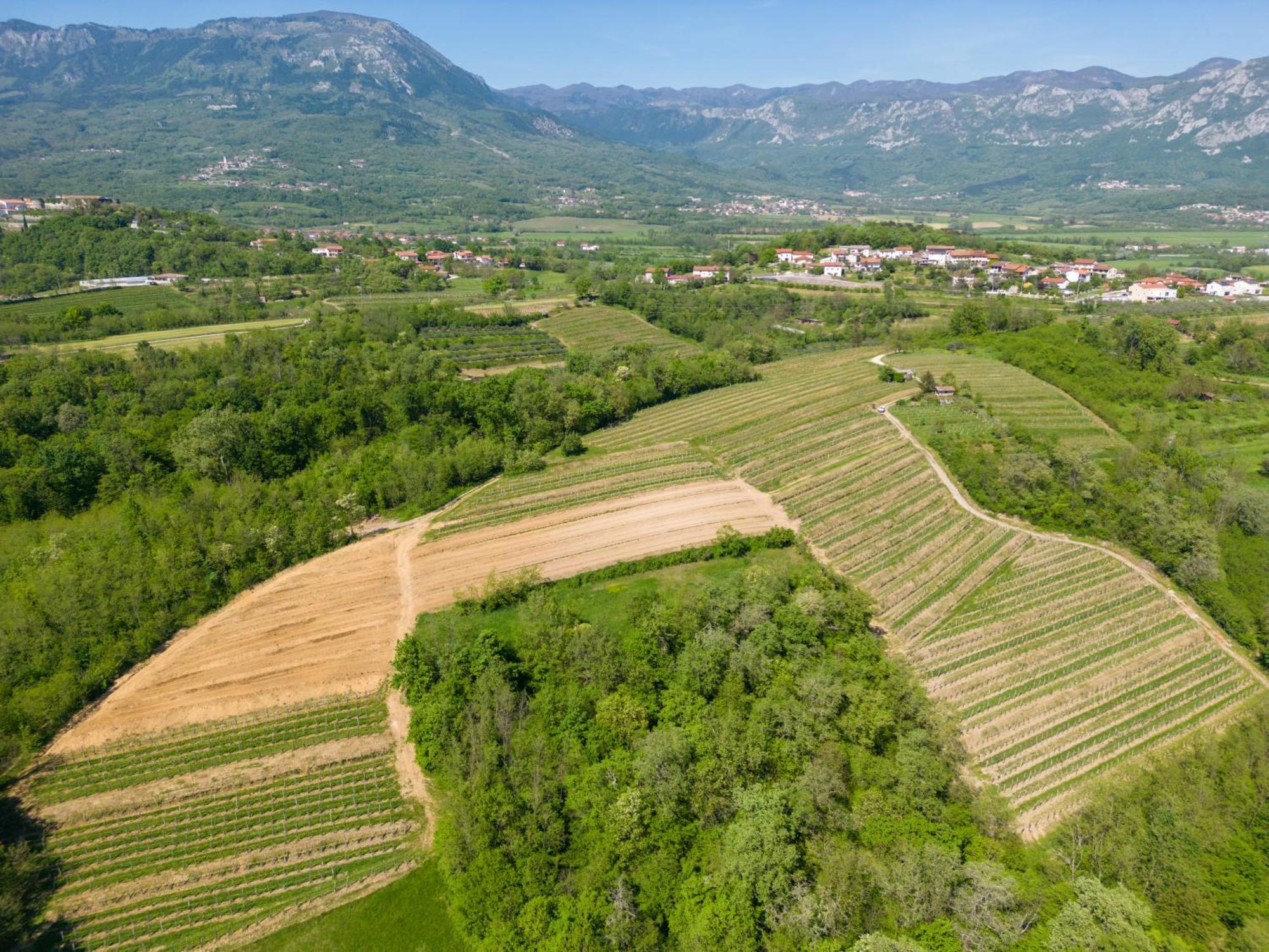 Apartma Valic Ajdovščina Exteriér fotografie